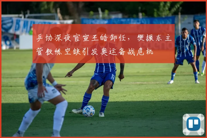 乒协深夜官宣王皓卸任，樊振东主管教练空缺引发奥运备战危机