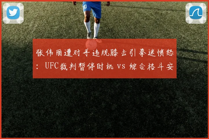 张伟丽遭对手违规膝击引拳迷愤怒：UFC裁判暂停时机 vs 综合格斗安全底线争议